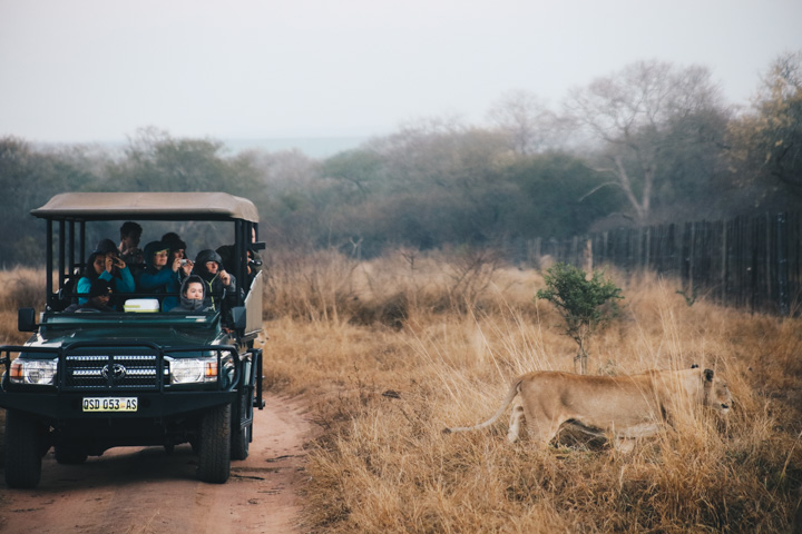 An honest review of overland travel in South Africa
