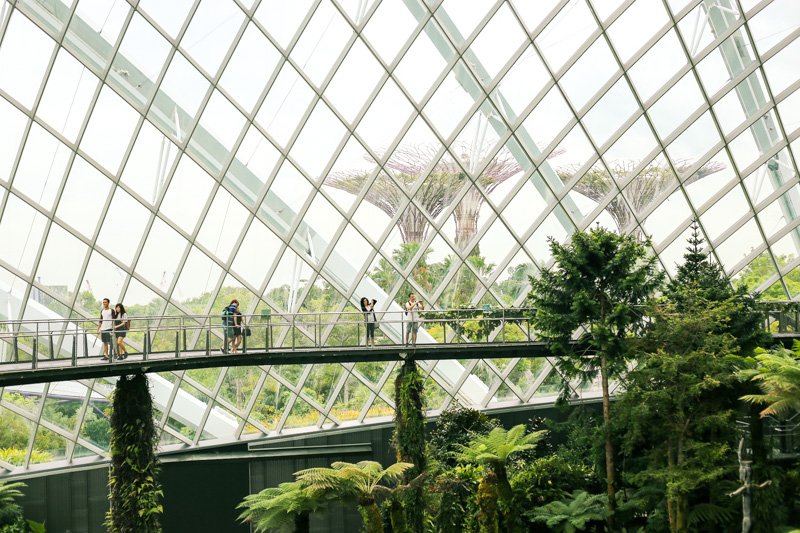 What living as an expat in Singapore is really like