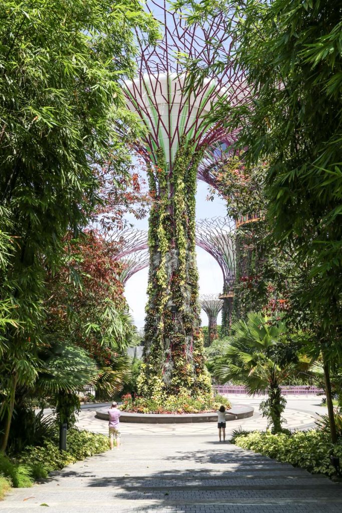 What living as an expat in Singapore is really like