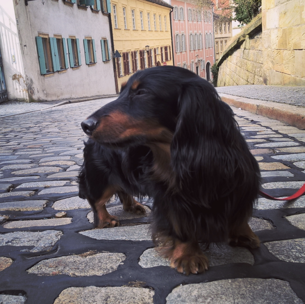 What living in the Czech Republic as an expat is really like