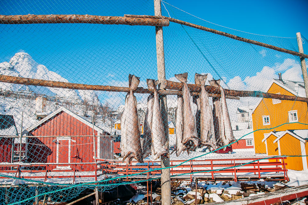 What living in Norway is really like