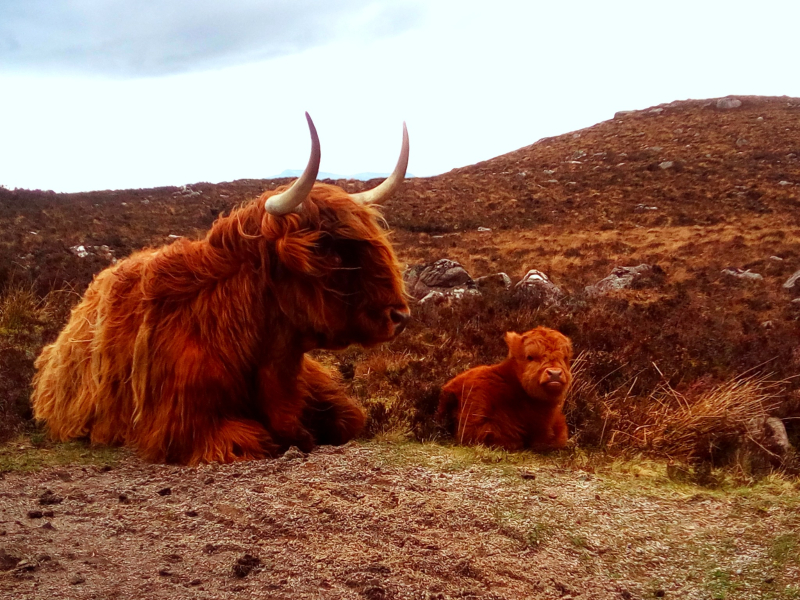 Living in Scotland as an expat: What's it really like?