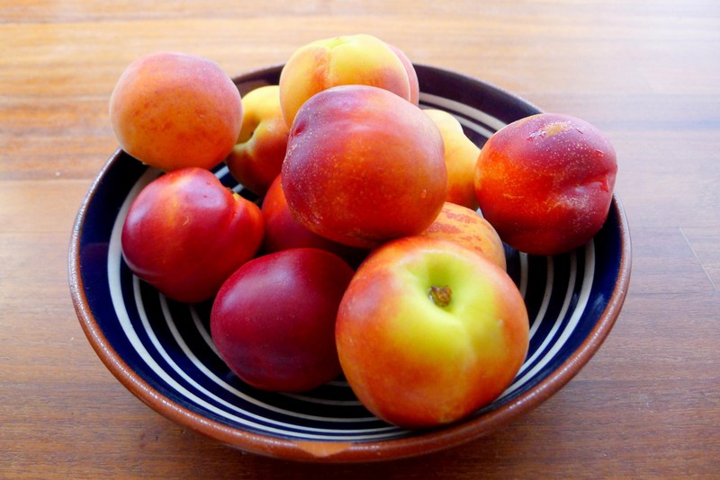Apricots in a blue bowl