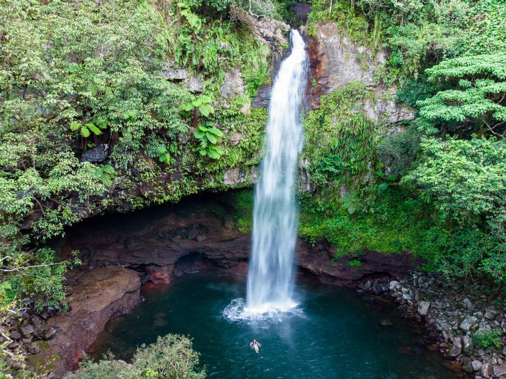 A gorgeous waterfall in Taveuni Island, Fiji